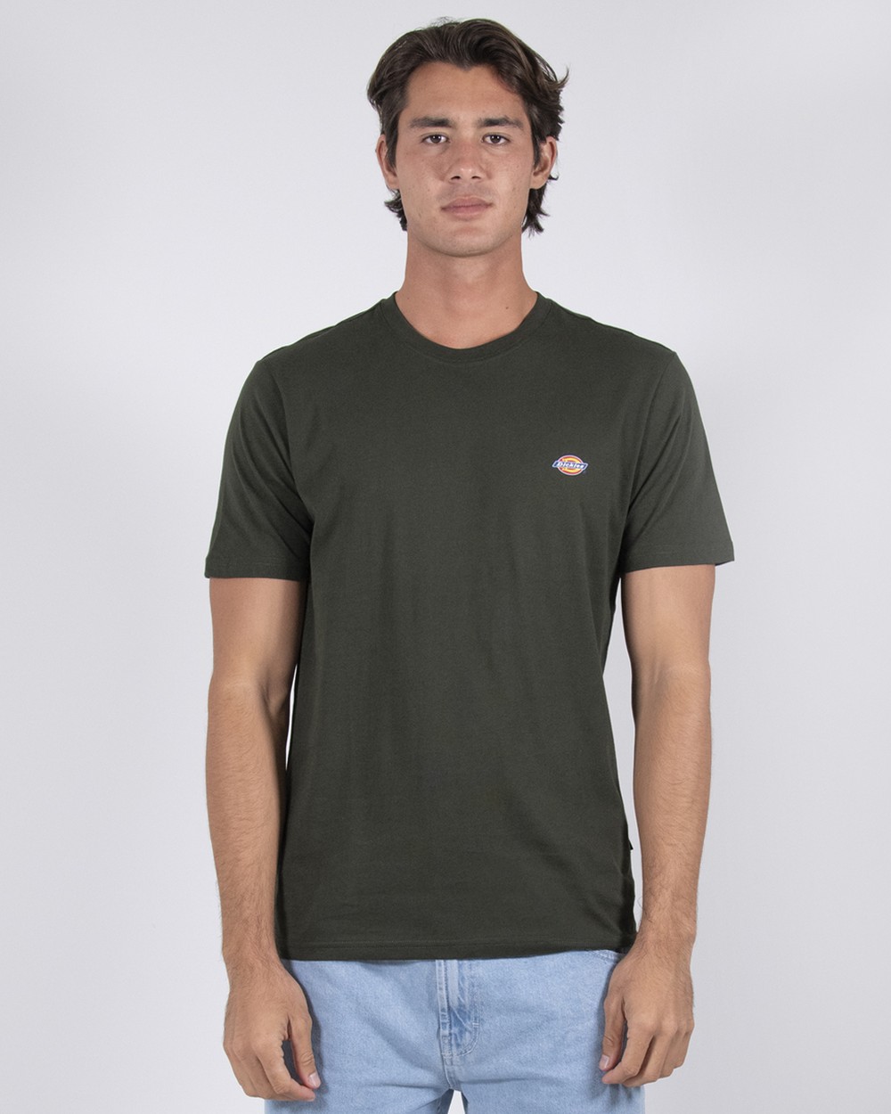 Dickies Mapleton T-shirt (olive green)