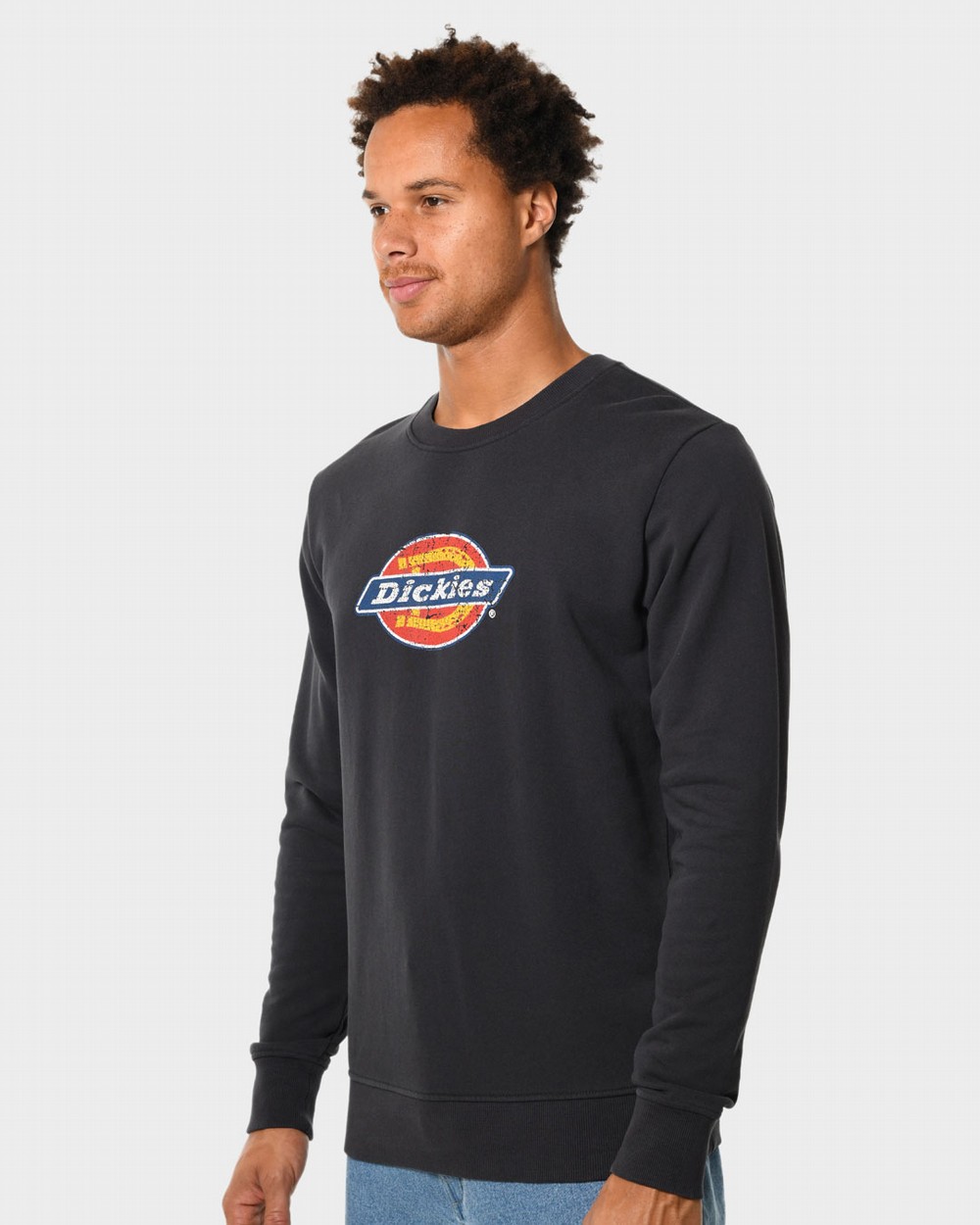 Dickies Fleece Sweaters & Hoodies For Men | Dickies Australia