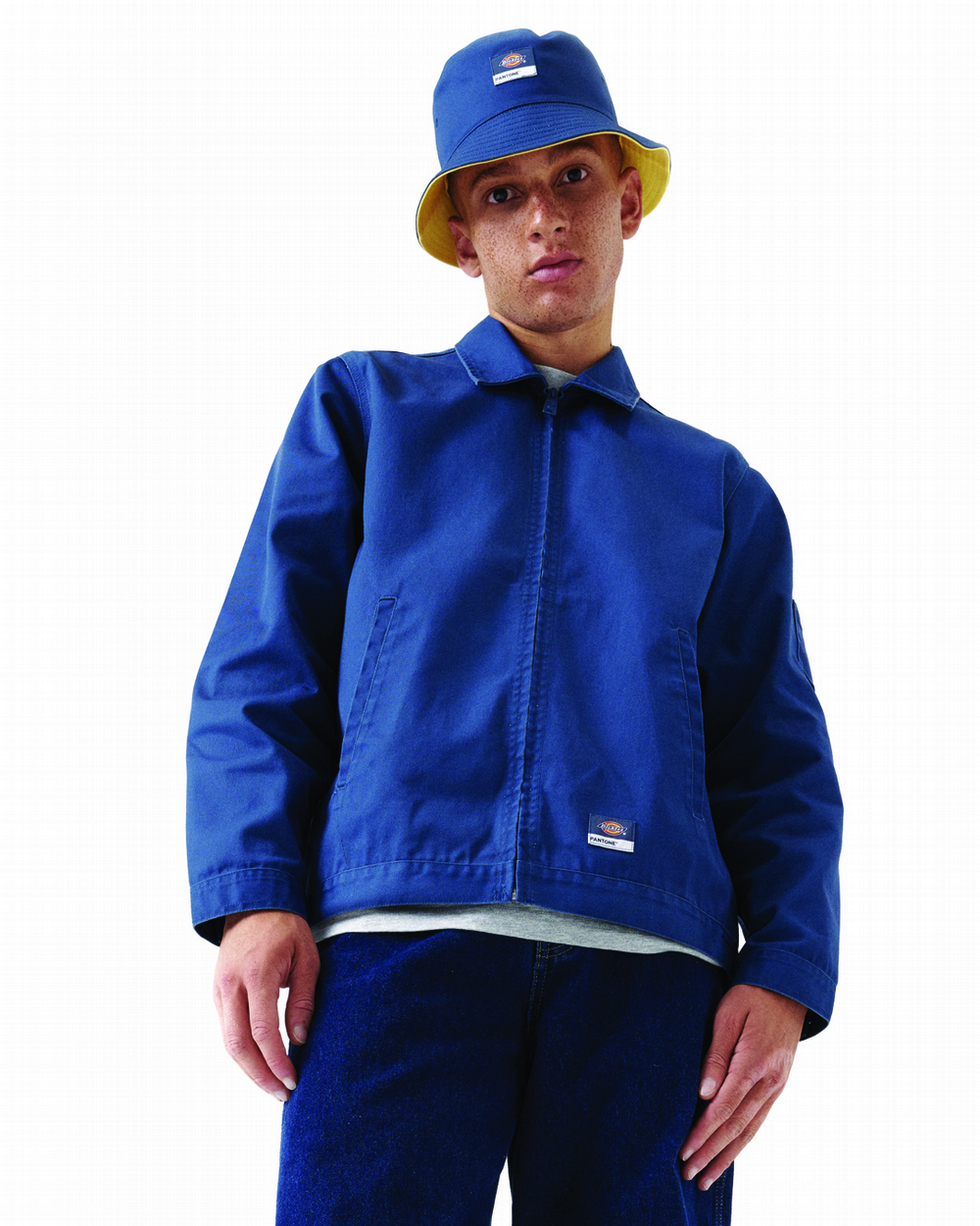 Dickies Alton Ii Jacket - Bone | SurfStitch