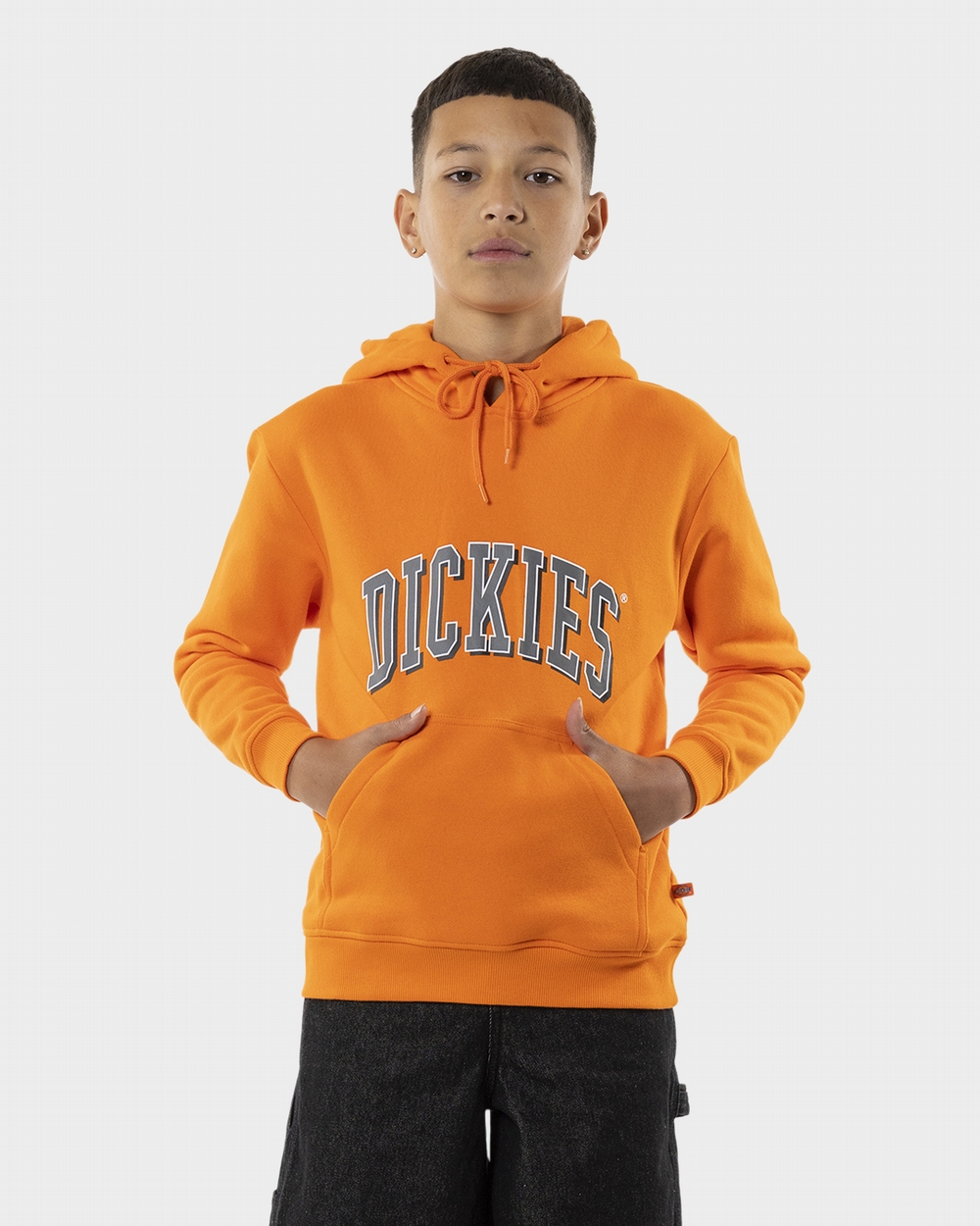 Longview Hoodie Dickies NZ