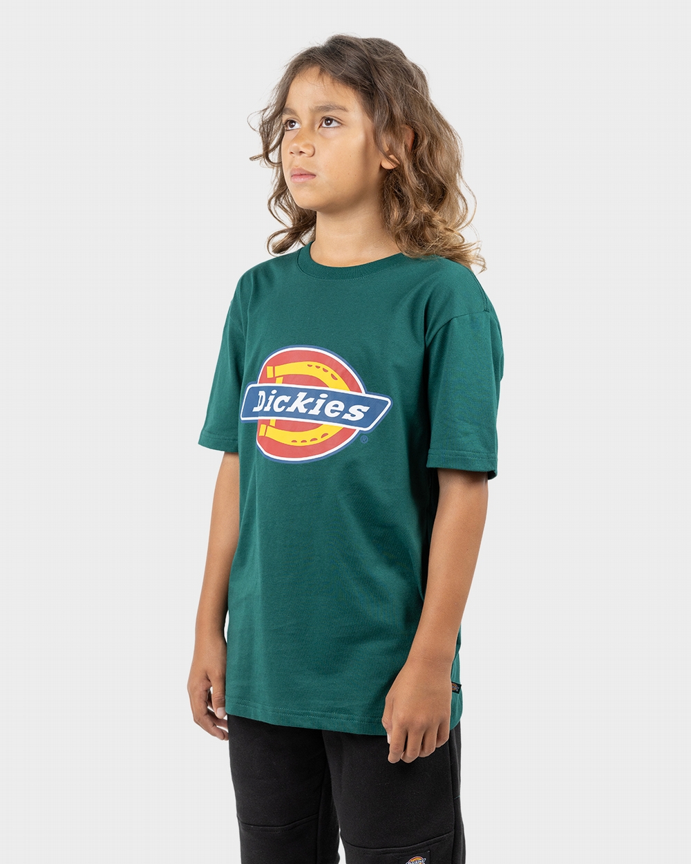 Classic Logo Tee | Dickies Australia