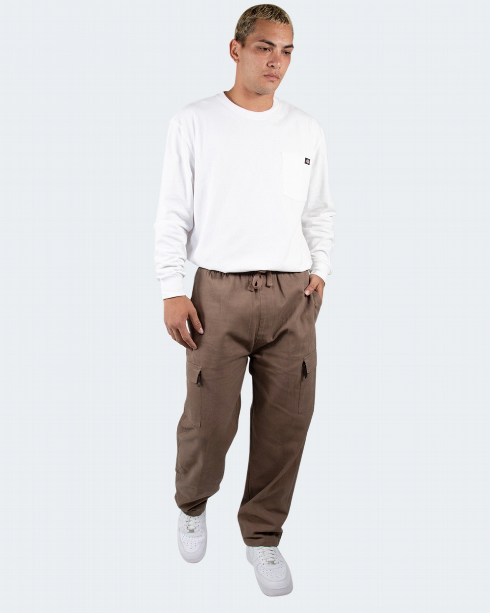 Blocked Loose Fit Cargo Pant | Dickies NZ