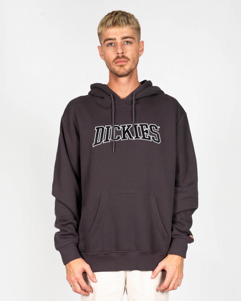 Dickies 2024 pennellville hoodie